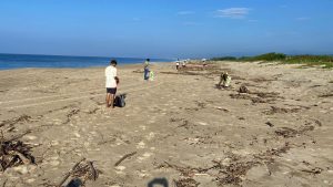 Realizan jornada de limpieza en Playa Delfines para conservar el entorno costero