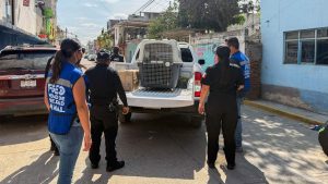 Fiscalía de Oaxaca realiza cateo por crueldad animal y rescata a dos perritos en situación de abandono