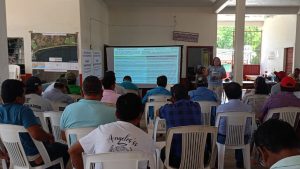 Refuerzan protección de campamentos tortugueros en la costa de Oaxaca