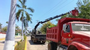 Ayuntamiento de Santa María Colotepec realiza poda preventiva para mejorar red eléctrica