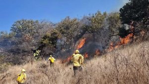 Incendios forestales devastan más de 10 mil hectáreas en Oaxaca