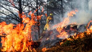 En dos meses se registran 94 incendios forestales en Oaxaca