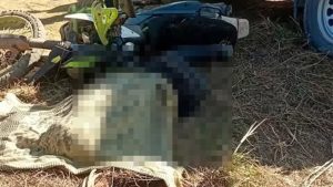 Privan de la vida a exalcalde de Zaniza y a su hijo en medio de conflicto agrario en Oaxaca