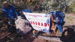 Clausura Profepa predio en Ixtlán de Juárez por cambio ilegal de uso de suelo