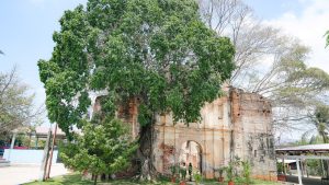 Impulsan cuidado ambiental con taller de arbolado urbano en Santa María Colotepec