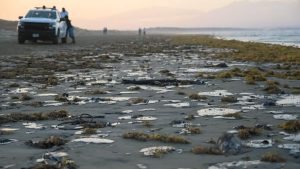 Pemex separa a tres funcionarios por derrame en el Golfo de México; investigación continúa