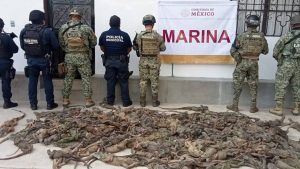 Aseguran cargamento de iguanas en Matías Romero; quedan a disposición de PROFEPA