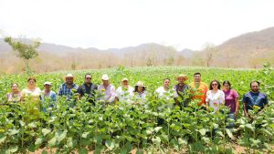 Avanza la huerta demostrativa de Santa María Colotepec; un impulso al aprendizaje y al campo local