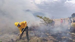 Oaxaca registra 189 incendios forestales en lo que va del 2026