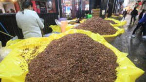 Chicatanas: el manjar ancestral que anuncia la llegada de las lluvias en Oaxaca