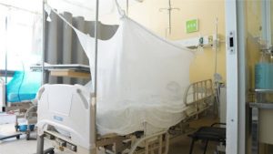Oaxaca se mantiene en alerta por dengue; suman 17 casos confirmados en el estado