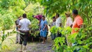 San Pedro Mixtepec fortalece acciones ambientales con donación de árboles al 54 Batallón de Infantería