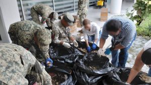 Aseguran más de 11 mil huevos de tortuga marina en Colima; hay un detenido