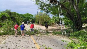 San Pedro Mixtepec realiza labores de poda preventiva sobre la Carretera Federal 200