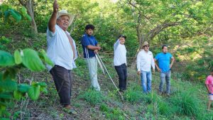 Realizan tequio y reforestación en predio destinado a disposición final de residuos en San Pedro Mixtepec