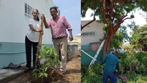 San Pedro Mixtepec realiza jornada de poda y reforestación en coordinación con el Centro de Salud Urbano 06