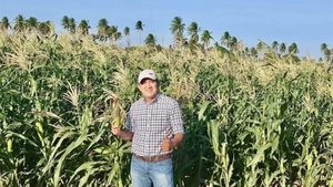 Oaxaca fortalece su producción de maíz y avanza hacia la autosuficiencia alimentaria: senador Antonino Morales
