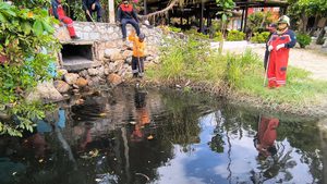 Protección Civil asegura y reubica cocodrilo avistado en Bahía Principal de Puerto Escondido