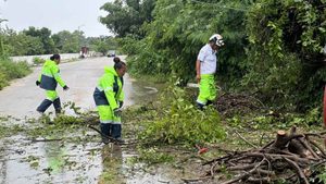 Protección Civil de SPM refuerza acciones preventivas ante lluvias y efectos del huracán Trudy
