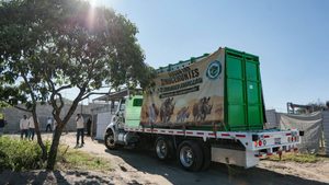 Cuatro rinocerontes blancos llegan a Guadalajara en una histórica misión de conservación