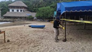 Fumigan Playa Puerto Angelito y Manzanillo para proteger la salud de turistas y visitantes