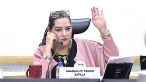Guadalupe Taddei anuncia su renuncia a la presidencia del INE en medio de controversia por contratos